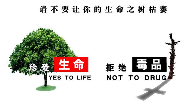 【调查】珍爱生命,远离毒品!青少年如何向毒品