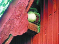 神奇千年大殿：鸟不栖虫不入