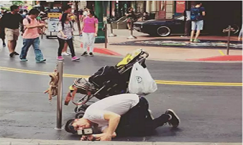 元旦朋友圈摄影大赛即将开始啦！全都是套路