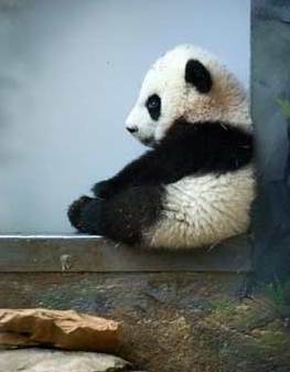 文明餐桌从&ldquo;吃不了，兜着走&rdquo;开始