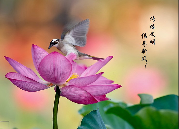 水调歌头&bull;文明系列组词