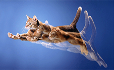 相机用的越来越熟练 提升拍摄的一些创意技巧