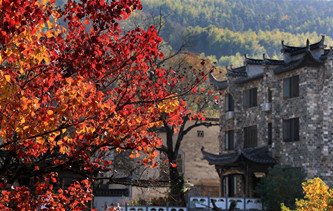 美丽中国 美在金秋