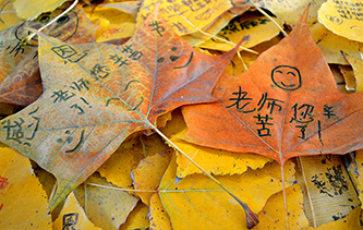 湖北十堰小學生用落葉制作祝福賀卡 以濃濃祝福感念師恩