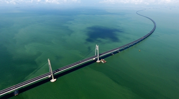 第十届环球大湾区高峰论坛在港举行