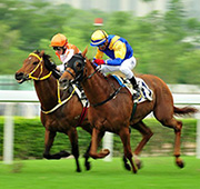 香港特别行政区依法实行高度自治