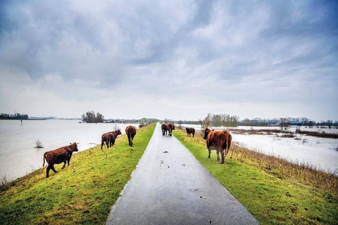 荷蘭經驗：從“圍海造田”到“與水共處”