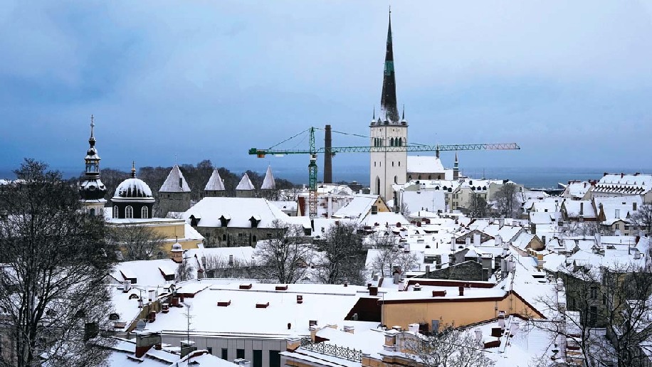 爱沙尼亚：“电子居民”有何权利