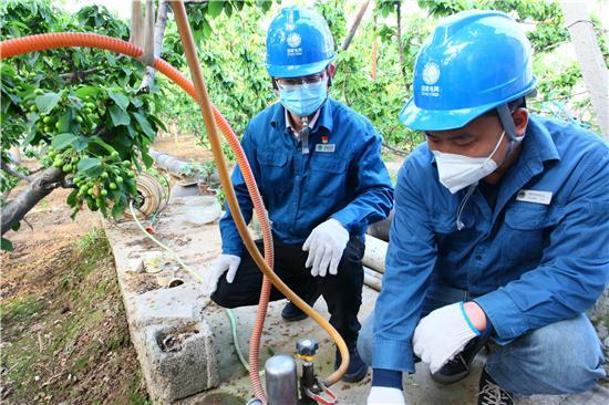 国网临朐县供电公司：主动履责勇担当 供电、服务“双满格”