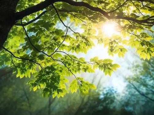 “守护心‘晴’——全民心理健康服务行动”落地江西安远