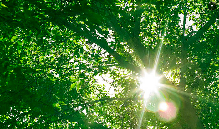 “守护心‘晴’全民心理健康服务行动”走进甘肃省天水市麦积区