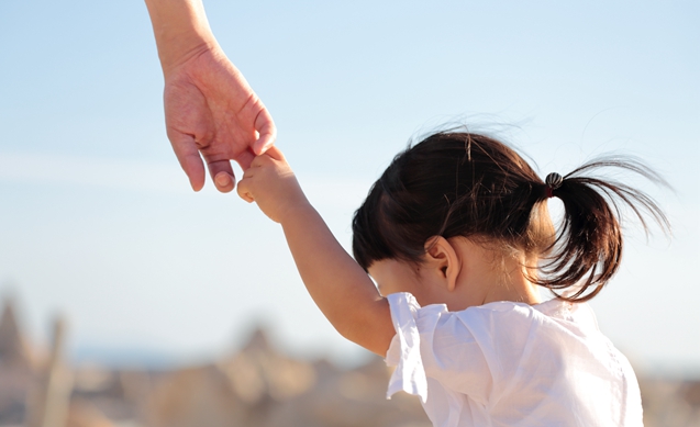 Kirei Lifestyle Plan