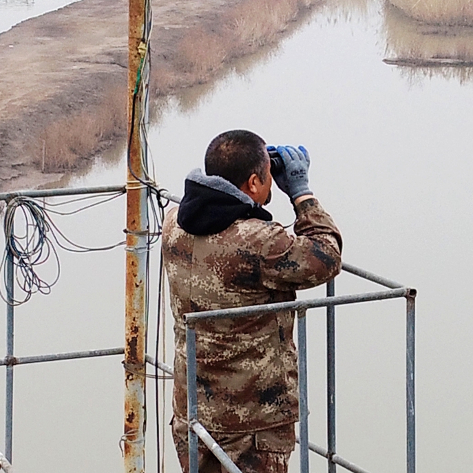 “渤海护鸟人”田志伟