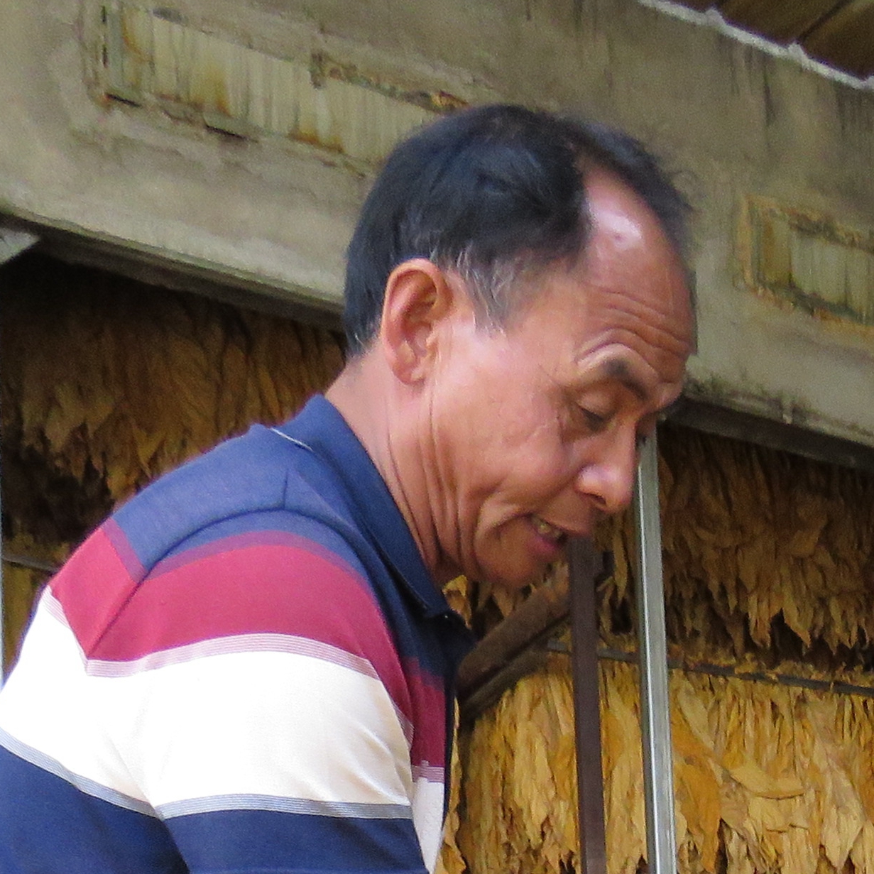 “奉献乡村振兴”杨世荣