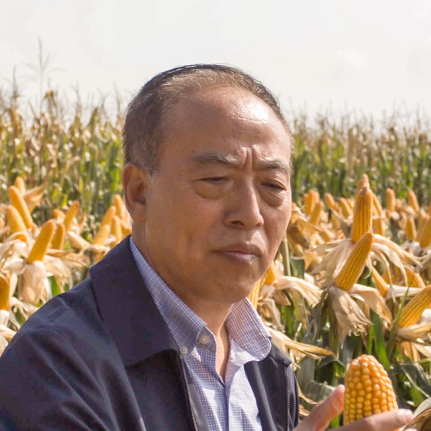 黑土地上的“贴心人”王贵满