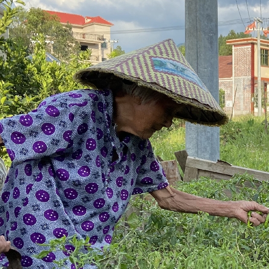 “把百岁奶奶宠成‘网红’”戴长文