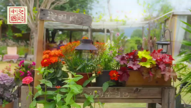 海南水蛟村：一隅闲庭话桑麻