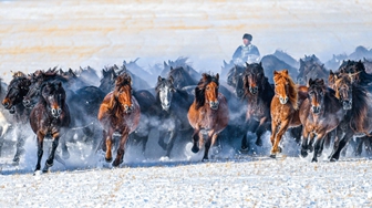 骏马乘风闯新路