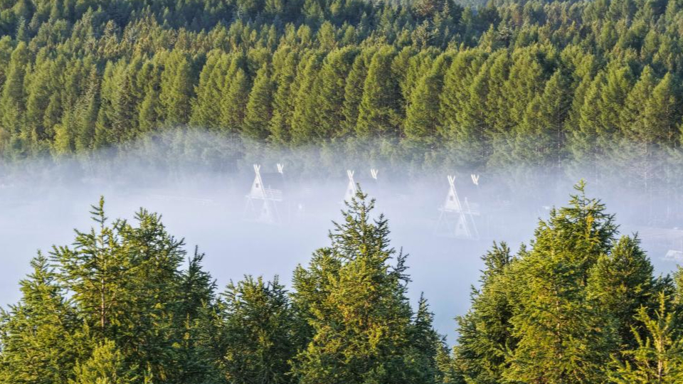 新华鲜报|春已至！“植”绿山河