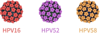9價HPV疫苗擴齡至9—45歲 為什么HPV疫苗對適齡女性如此重要？(圖2)
