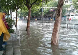 大雨倾城 到南京来看海