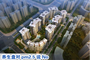 海南购房 养生盘对pm2.5说No(组图)