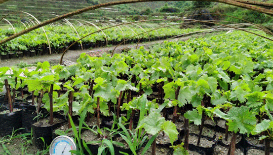 微信图片_20221223104740