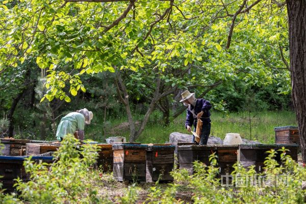 1672321221843245.jpg 1672321221843245.jpg