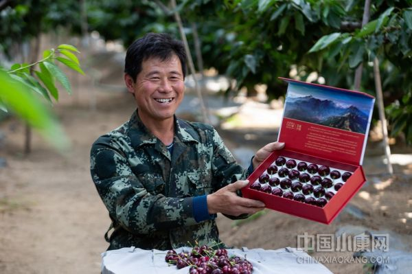 1672321249627283.jpg 1672321249627283.jpg