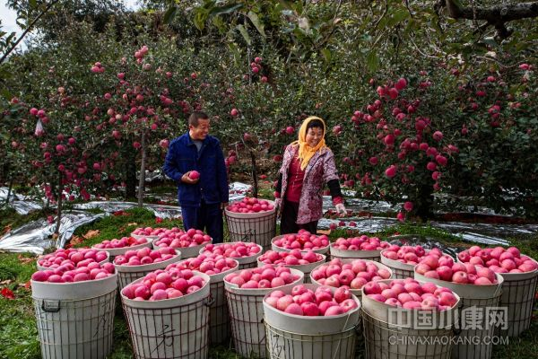 1672321188805419.jpg 1672321188805419.jpg