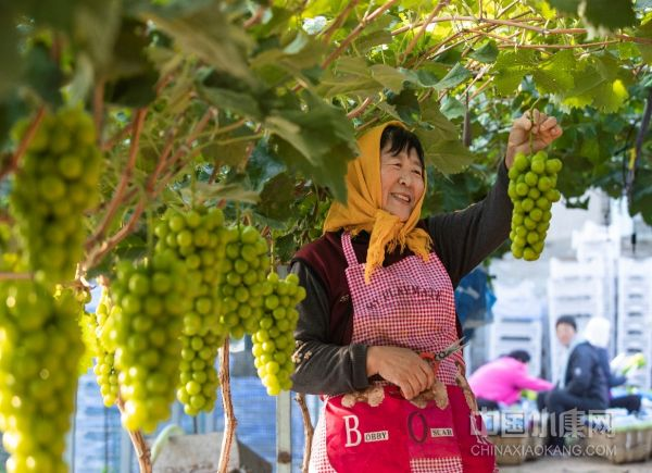 1672321160718796.jpg 1672321160718796.jpg