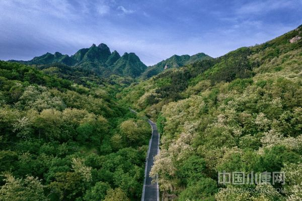 1672321127727653.jpg 1672321127727653.jpg