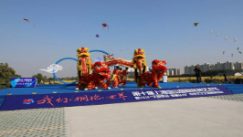 中国民间文化艺术之乡｜建设典型案例展示（上海市）