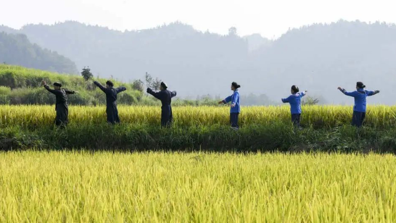 中国民间文化艺术之乡｜建设典型案例展示（湖北省）