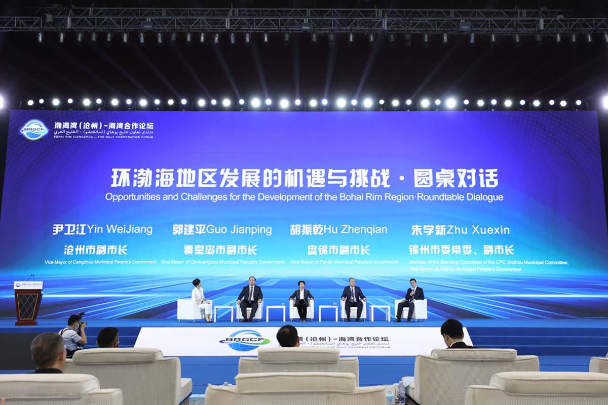 渤海湾（沧州）-海湾合作论坛开幕式圆桌对话环节