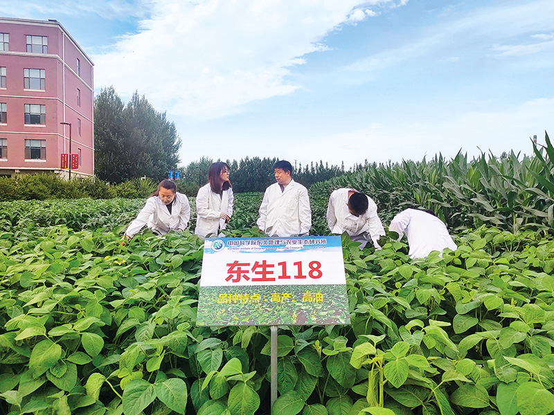 区赋积极提降培训得到时效