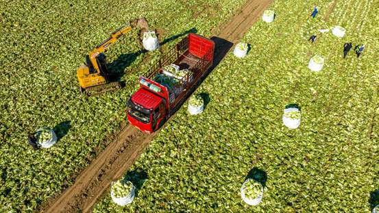 5b239a91d092b8f418fab6f1b1002e9