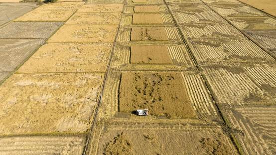 8c3b9af6519eb5904d8e32e4dd15df3