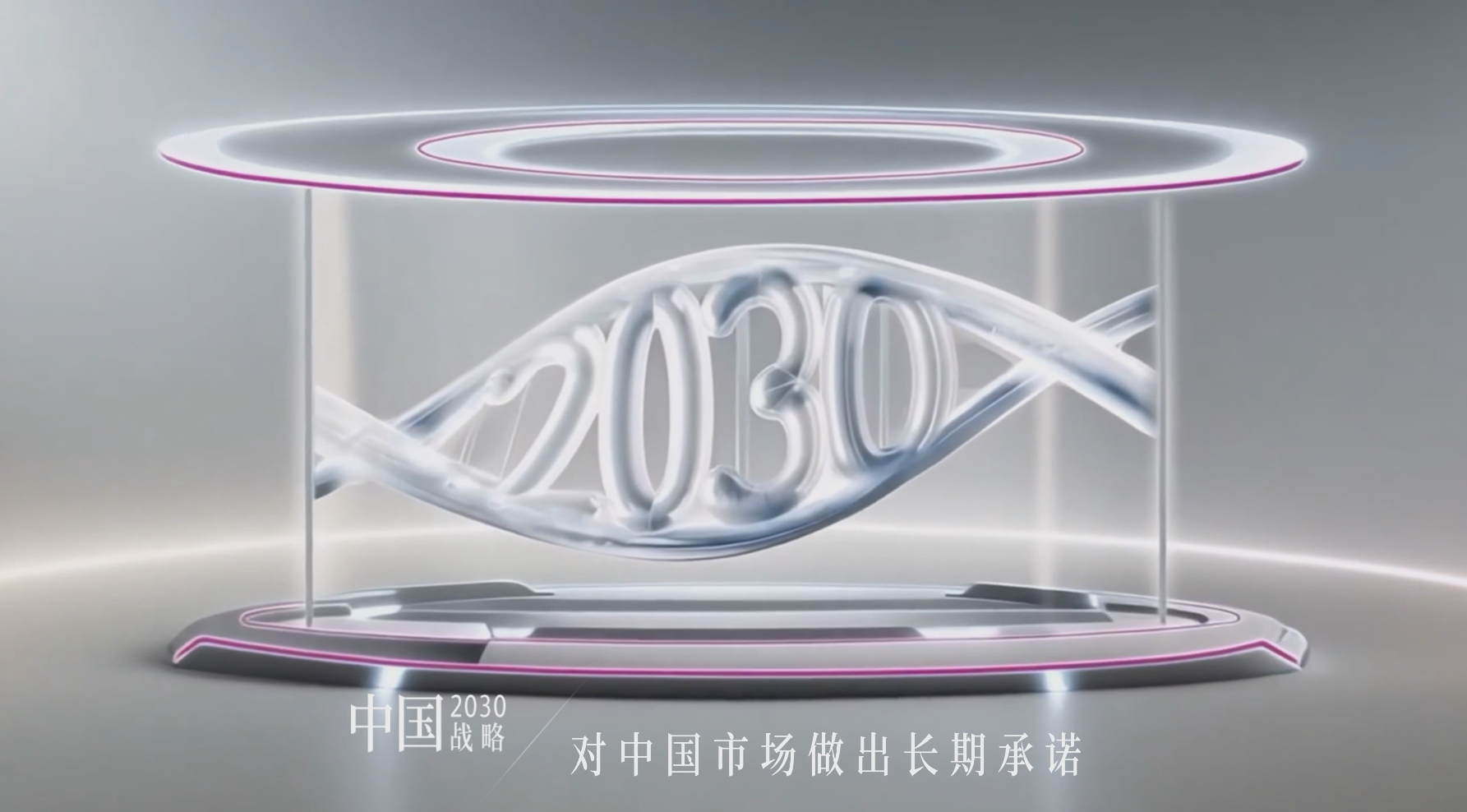 公司⌈中国2030战略⌋ 介绍