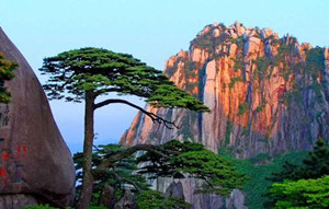 5G让游客纵览黄山美景