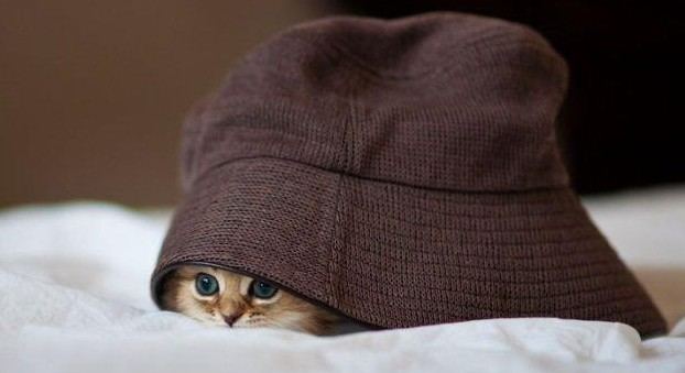 老外搞怪！facebook插图欣赏(组图)