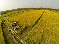 大唐电信农业信息化解决方案