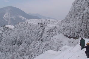 【图说·老照片】：走在万水千山的通信人