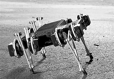 可爱机器人 体型灵巧如小狗 能开门翻围墙