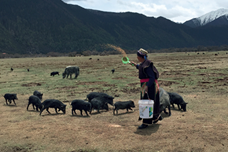 脱贫攻坚&ldquo;世界屋脊之巅&rdquo;