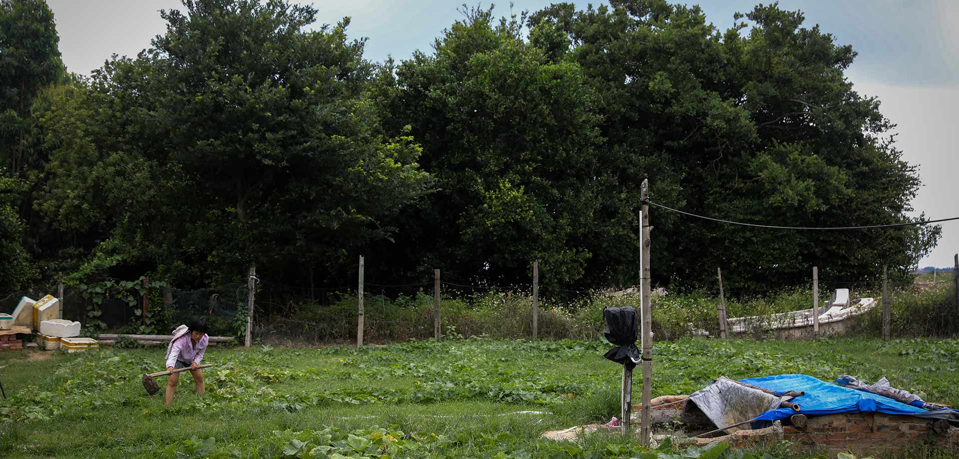 &ldquo;精准滴灌&rdquo;：南三岛上199户村民脱贫记