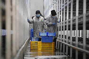 山海携手　圆梦小康&mdash;&mdash;记闽宁对口扶贫协作援宁群体