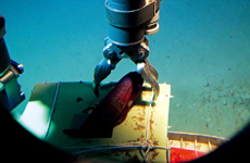 2010年7月,"蛟龙号"3000米海试作业