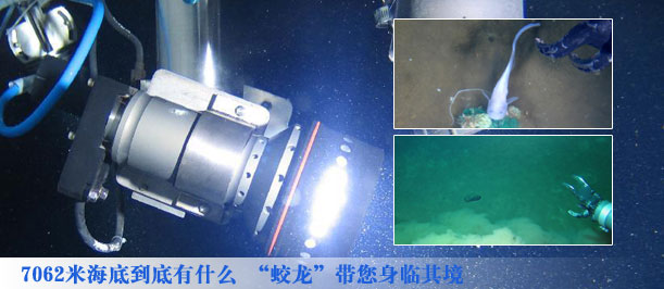 7062米海底到底有什么 &ldquo;蛟龙&rdquo;带您身临其境 组图
