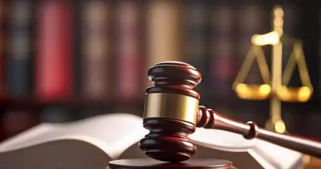 今年前三季度全国法院先行调解案件数量增长明显